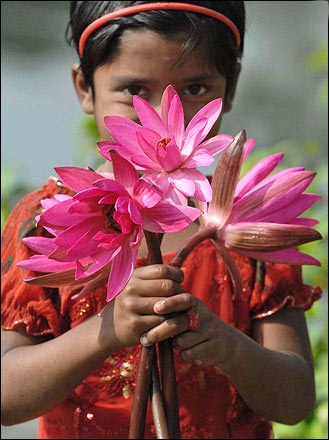 Ảnh đẹp trong tuần - 6