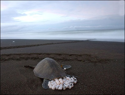 Ảnh đẹp trong tuần - 4