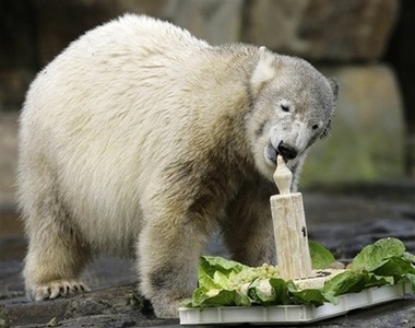 Berlin tổ chức sinh nhật cho "công dân đặc biệt" - 2