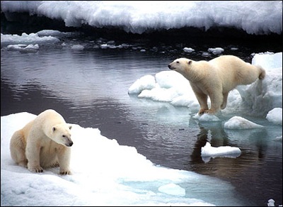 Chùm ảnh: Thảm hoạ khí hậu thay đổi - 3