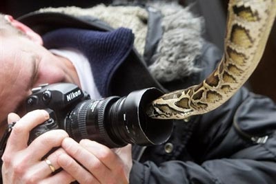 Những bức ảnh kỳ quặc nhất trong năm - 2