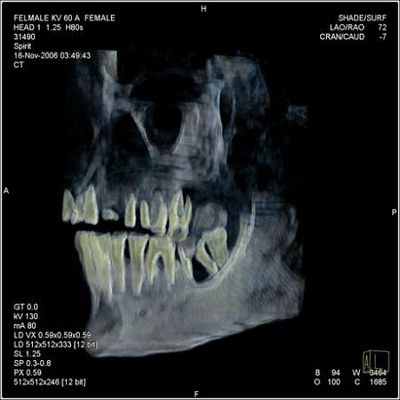 10 sự kiện khảo cổ học đáng chú ý nhất năm 2007 - 7