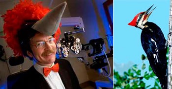 Giải thưởng Ig Nobel giành cho những phát minh kỳ quái - 1 Giải thưởng Ig Nobel giành cho những phát minh kỳ quái - 1