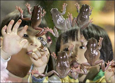 Ảnh đẹp trong tuần - 3 Ảnh đẹp trong tuần - 3