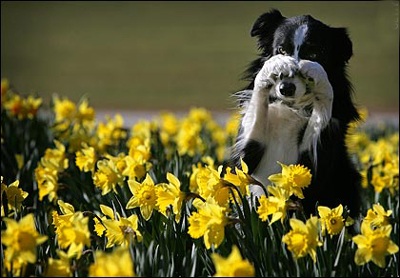 Ảnh đẹp trong tuần - 7 Ảnh đẹp trong tuần - 7