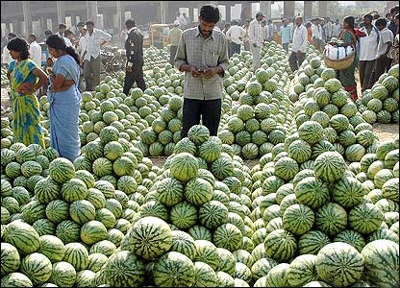 Ảnh đẹp trong tuần - 5 Ảnh đẹp trong tuần - 5