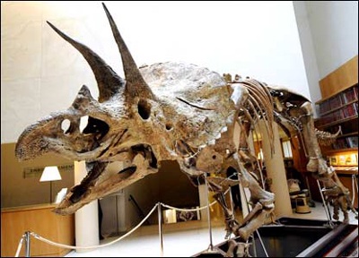 Ảnh đẹp trong tuần - 1 Ảnh đẹp trong tuần - 1