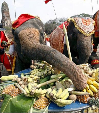 Ảnh đẹp trong tuần - 5 Ảnh đẹp trong tuần - 5