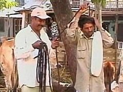 Gặp những người kỳ lạ trong sách kỷ lục Guinness (1) - 7