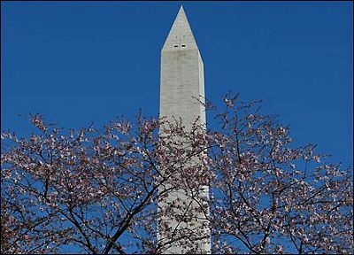 Ảnh đẹp trong tuần - 10