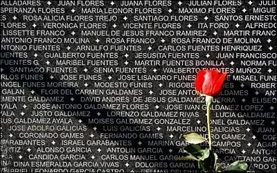 Ảnh đẹp trong tuần - 6