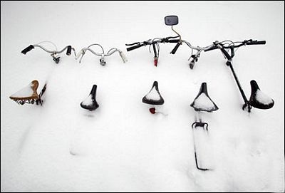 Ảnh đẹp trong tuần - 5