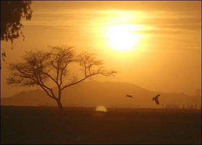 Ảnh đẹp trong tuần - 1 Ảnh đẹp trong tuần - 1