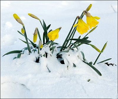 Ảnh đẹp trong tuần - 13 Ảnh đẹp trong tuần - 13