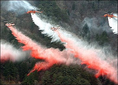 Ảnh đẹp trong tuần - 12 Ảnh đẹp trong tuần - 12