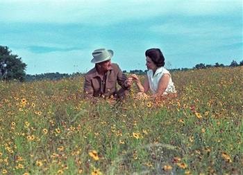 Phu nhân cựu tổng thống Mỹ Johnson qua đời - 4