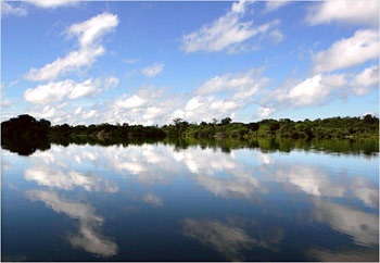 Bảo tồn hay chủ nghĩa thực dân mới trong rừng Amazon? - 2