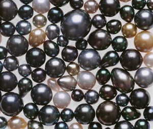 “Săn” ngọc trai tại Hồng Kông - 1