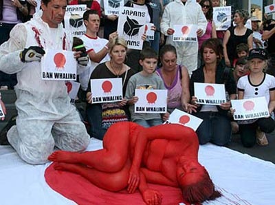 Ảnh đẹp trong tuần - 5 Ảnh đẹp trong tuần - 5