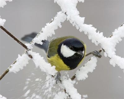 Ảnh đẹp trong tuần - 12 Ảnh đẹp trong tuần - 12