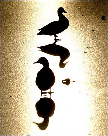 Ảnh đẹp trong tuần - 4 Ảnh đẹp trong tuần - 4