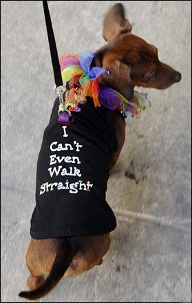 Ảnh đẹp trong tuần - 9 Ảnh đẹp trong tuần - 9