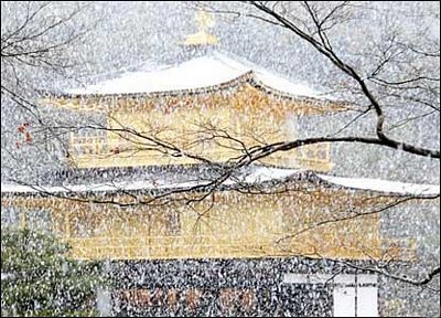 Ảnh đẹp trong tuần - 3