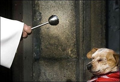 Ảnh đẹp trong tuần - 11