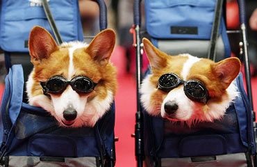 Ảnh đẹp trong tuần - 5