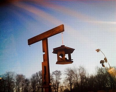 Mèo làm “phó nháy” - 5