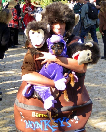 “Choáng” trang phục Halloween dành cho cẩu - 6