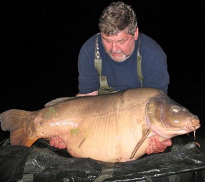 Con cá chép nặng gần nửa tạ - 1