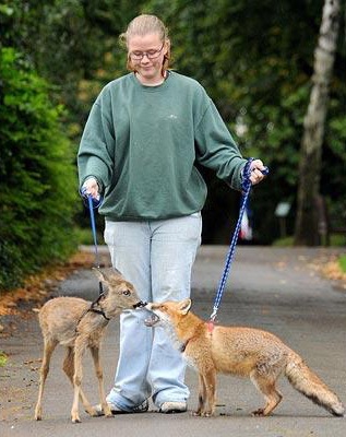 Ảnh ngộ nghĩnh về động vật - 6