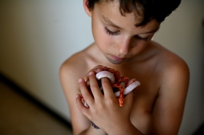 Chùm ảnh: Đi spa để được rắn... mát xa - 5 Chùm ảnh: Đi spa để được rắn... mát xa - 5