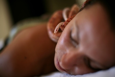 Chùm ảnh: Đi spa để được rắn... mát xa - 6 Chùm ảnh: Đi spa để được rắn... mát xa - 6