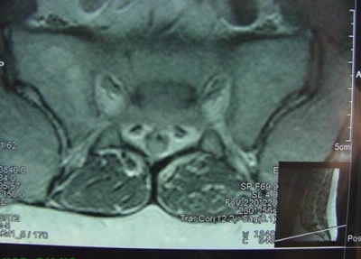 Những sinh vật kỳ lạ - 5