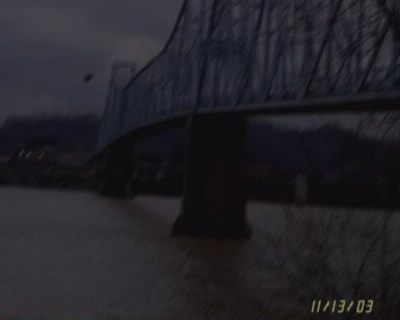 Những sinh vật kỳ lạ - 7