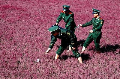 Những hình ảnh ấn tượng trong tuần - 3