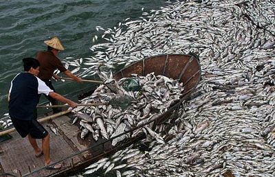Những hình ảnh ấn tượng trong tuần - 5