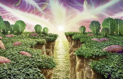 Chùm ảnh: Những bức ảnh tuyệt đẹp từ thực phẩm  - 4