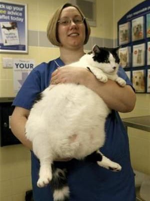 Những bức ảnh kỳ quặc nhất của tháng - 3