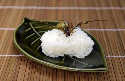 Chùm ảnh: Sushi sâu bọ - 1