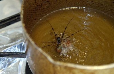 Chùm ảnh: Sushi sâu bọ - 2