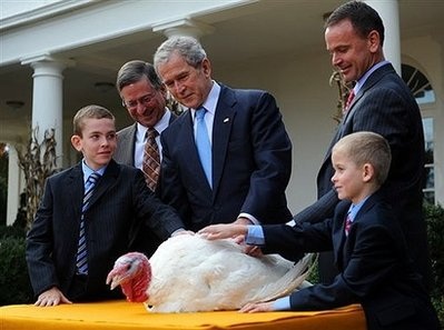 Chùm ảnh: Tổng thống Bush xá tội cho gà tây - 1