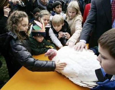 Chùm ảnh: Tổng thống Bush xá tội cho gà tây - 7