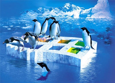 Những sự kiện CNTT đình đám 2008 - 2