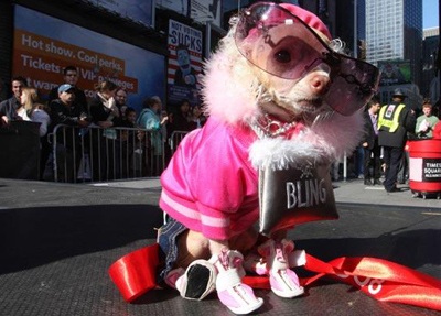 Ảnh lạ trong năm của vương quốc động vật (2) - 5