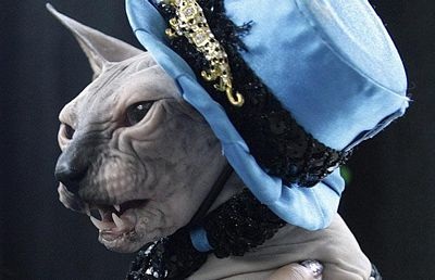 Ảnh lạ trong năm của vương quốc động vật (1) - 5