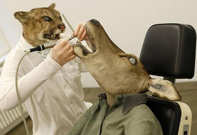 Những bức ảnh “lạ đời” của năm - 10