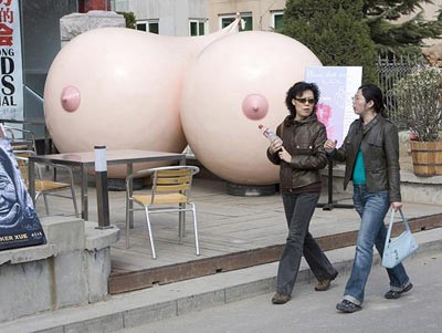 10 bức ảnh hài hước nhất năm 2008 - 3